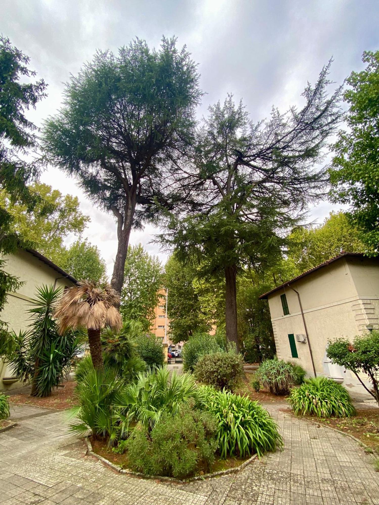 Ferienwohnung A Casa Con Greta Rom Exterior foto